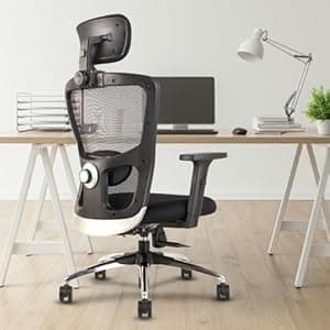 INNOWIN Jazz Legend Ergonomic Mesh Office Chair with Lumbar Support